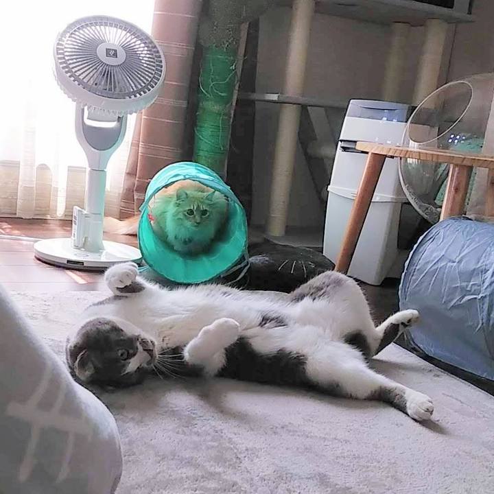 2e2311e2 371e 4d50 9865 7aa6ff1d5070 1649738278680