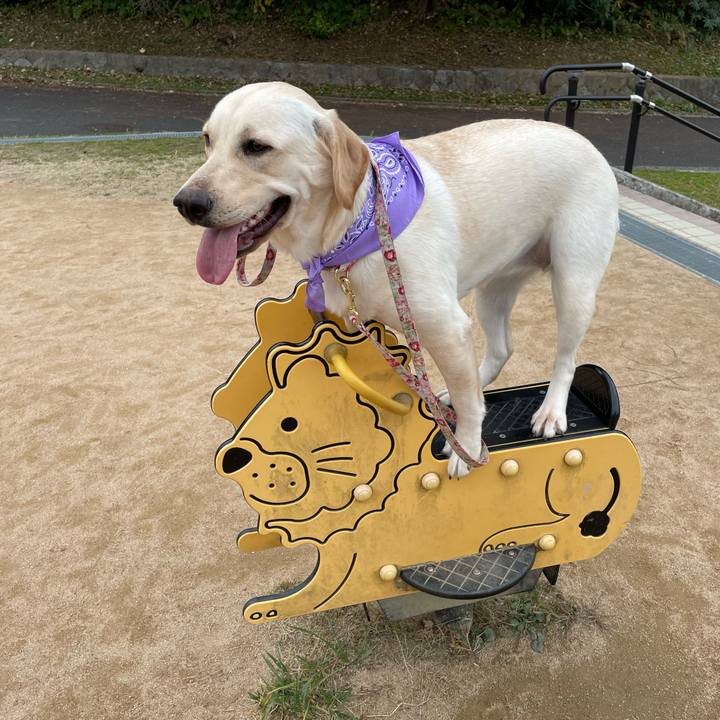 2e234593 eb70 448b a564 ff67ad0a6e7e 1641876335266