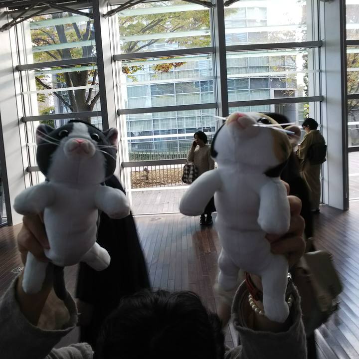 2e235a1a 0936 45b0 94b3 27a0175b3cbf 1542963959930