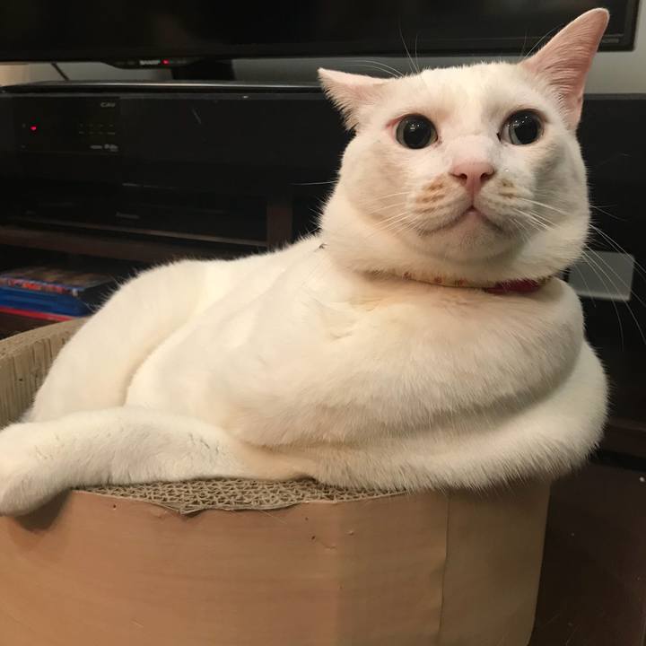 2e235d06 39e4 4f66 8f22 a30a32138fd6 1539604555923