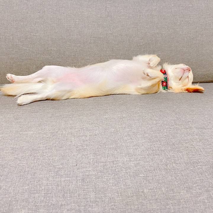 2e236c64 b3bd 470f 9b41 ce69eaec9bed 1633611628236