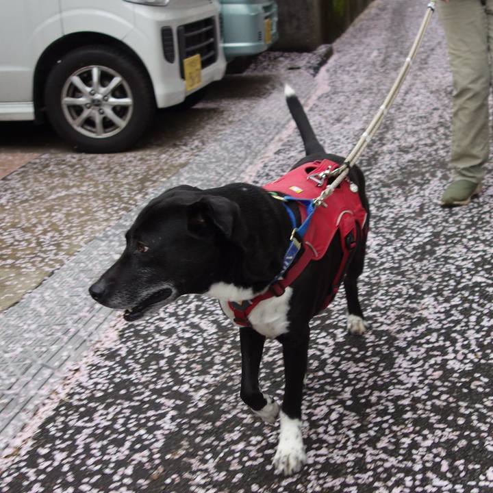 2e238e2e 4e48 4778 b1b6 af5c55c45d78 1680395257701