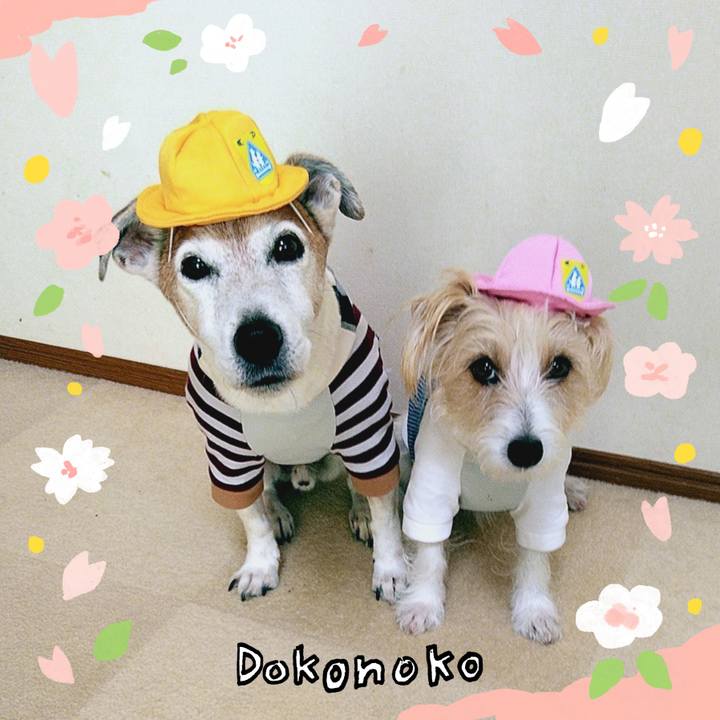 2e239ecc c183 41ae b0ff 8f357f63b7af 1711022027273