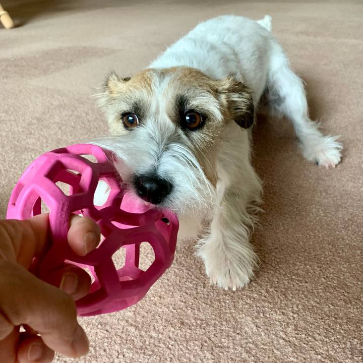 2e23ac1f dfb0 4ccd bcff 58f5dfba9758 1667637223591