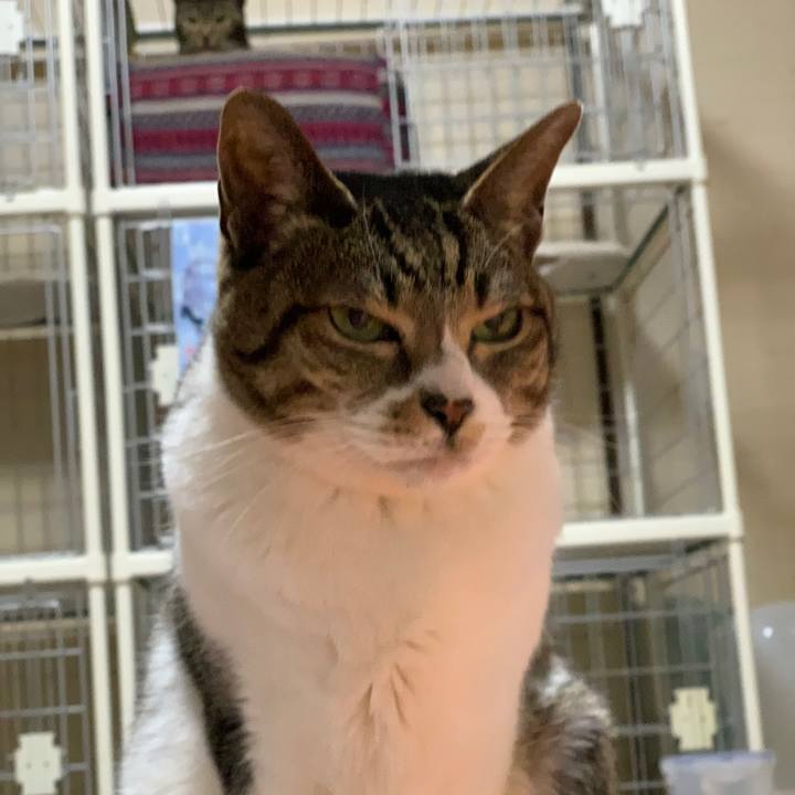 2e23fa04 3613 4871 988c 3664feaf1551 1549069690131