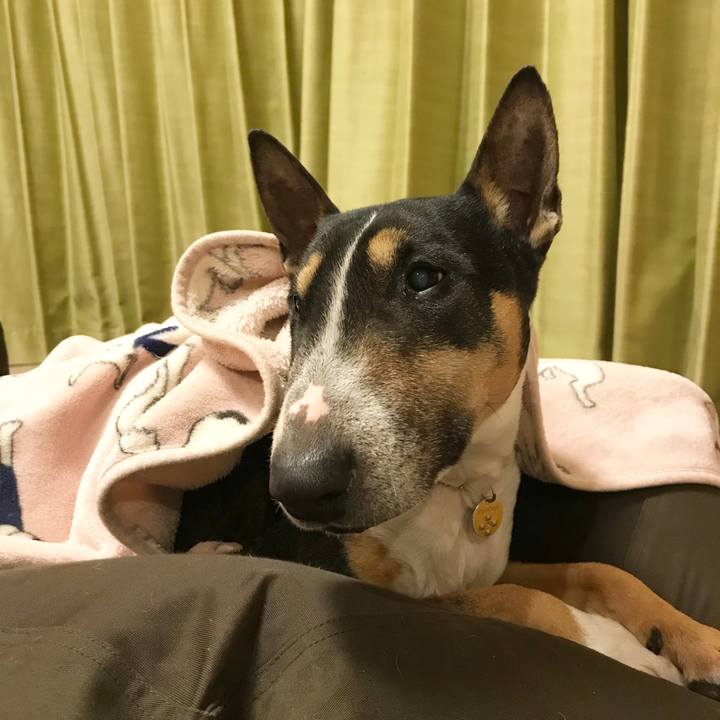 2e2444d5 70a6 4937 a6e9 c83b7368349f 1516448417754