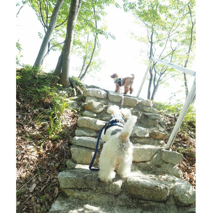 2e245415 b208 4ed8 a121 a4c47f2799f5 1534766662943