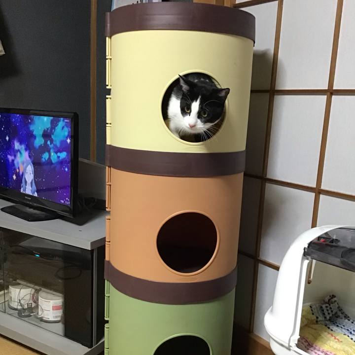 2e24771c a006 4eb3 9412 bb1c7fef8237 1640940233958