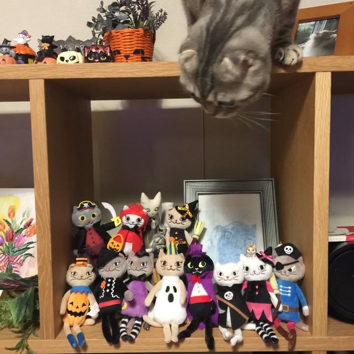 2e24e02d 9f27 458c 8dee b9a448fcd56f 1603808817880