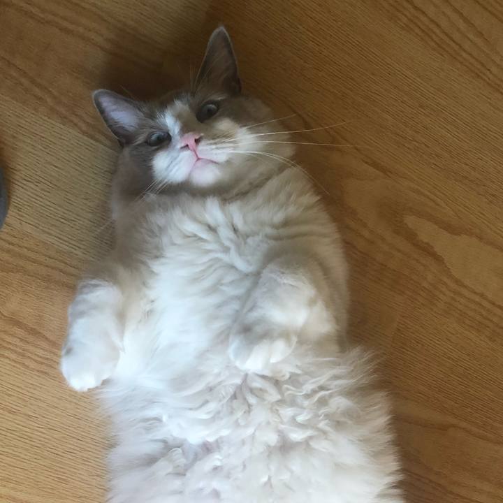 2e24ec03 4bc6 4fa0 b43e dde62e9547d2 1567215264267