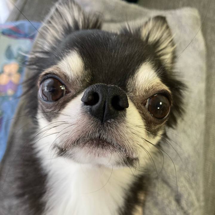 2e24f06f ca8f 422c 88c5 3a1a3f2b9006 1640411778102