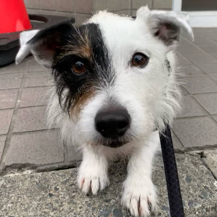 2e24fd83 a9fa 4a7e 852b e517f0f9532d 1654587509796