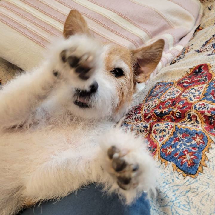 2e250fc2 5ef8 4d8e b22b 93077bd0ba94 1750642088735