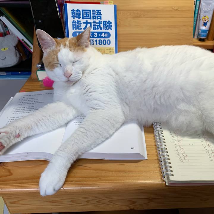 2e252267 f9ff 4236 aad7 e2869d353b8a 1625354781349