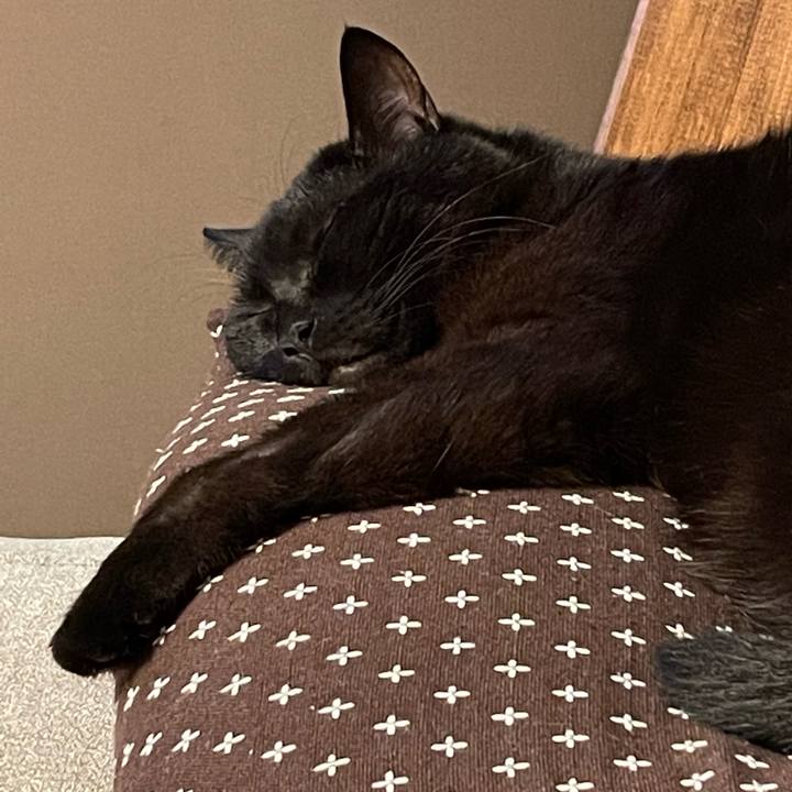 2e252e2a 50e1 438e ad7e 2e3907eaef43 1681723281922