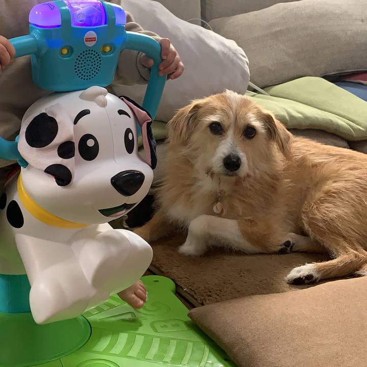 2e254c5f 64d8 4d23 b066 ee0a73aa58f9 1612263477536