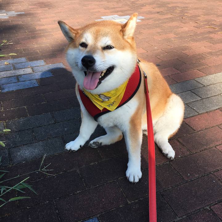 2e255a8f 2a89 4071 916b d04aab497139 1597963710105