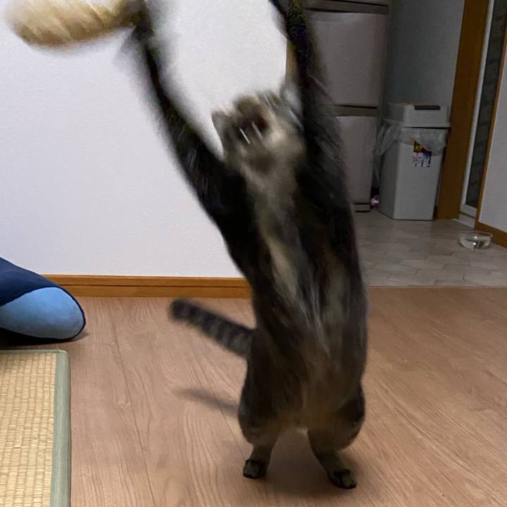 2e25871c ab33 4e6e bf89 7833c9bcd653 1627298797227