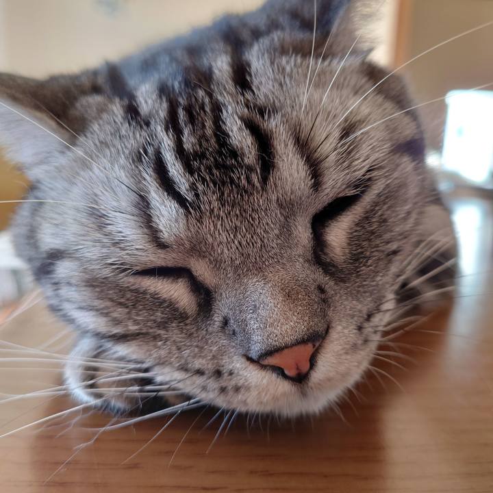 2e258c7a 8049 4da0 9959 f9cc2ce19916 1612418254459