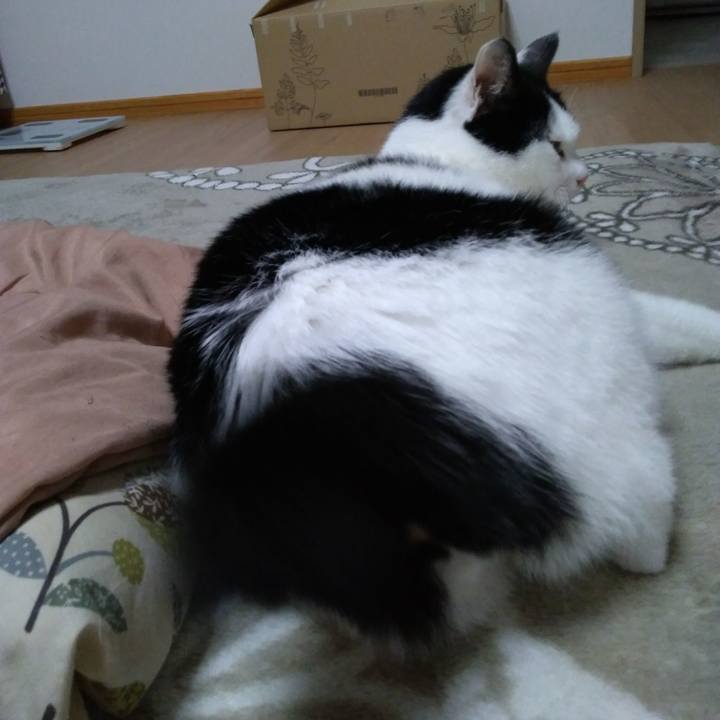 2e259880 a1fe 46d4 aa4b 892813121280 1521627243835