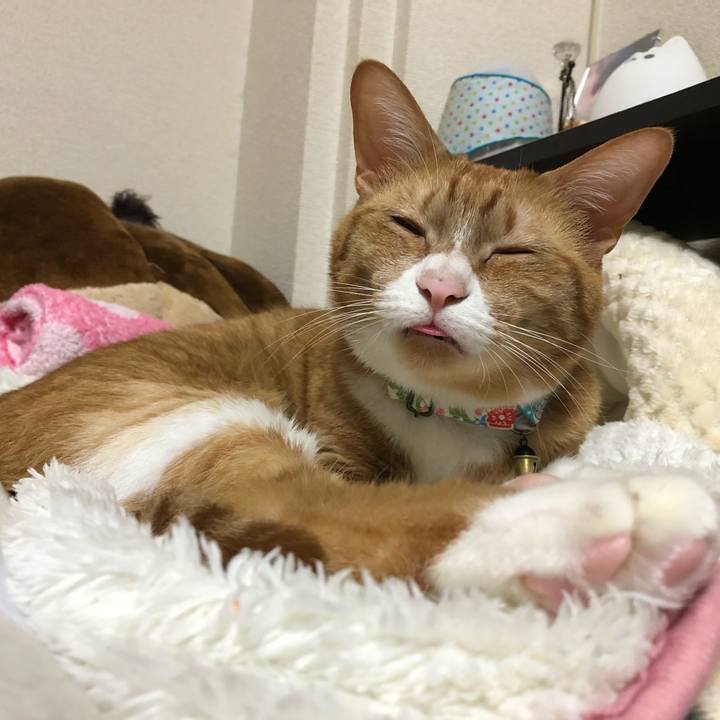 2e25a883 1586 4ade bfb4 93a66c4583ef 1605789084496