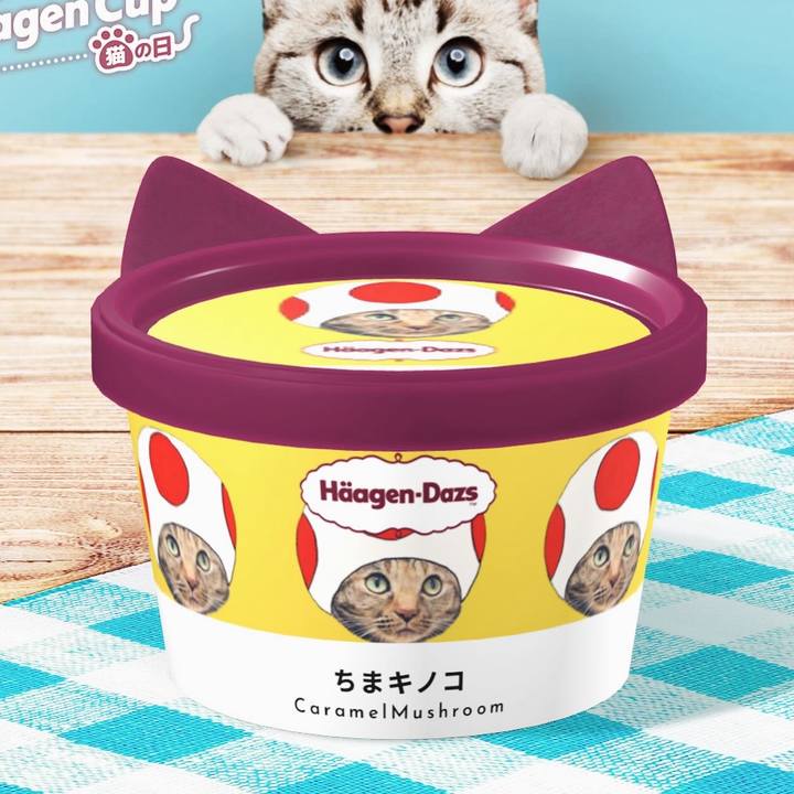 2e25b48b f967 4459 9537 e3e168219256 1708732515813