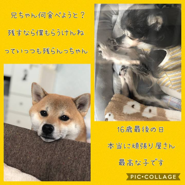 2e25c193 6509 49c7 8cad 78ae52a0d74f 1575178161377