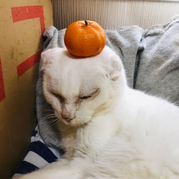 2e25c998 d8ca 45b6 8603 81b7d55df768 1546326197769