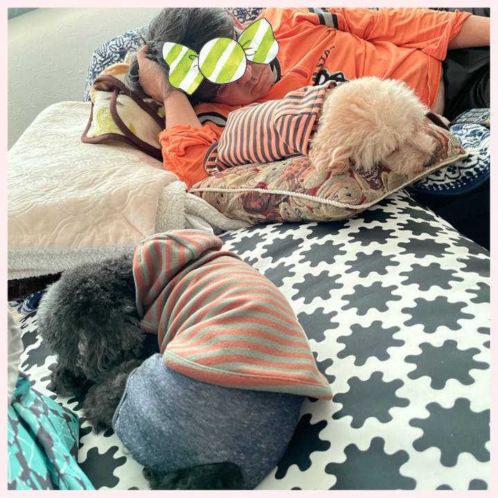 2e25cb13 8b81 4f22 9faf 30e2f7378694 1667612009474