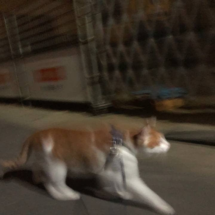 2e264a38 b507 4e8d b77e 15024942114a 1564930927773