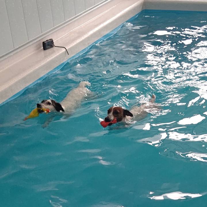 2e264ffc a6c2 46f0 8174 f2a70ae68a0e 1684104764996