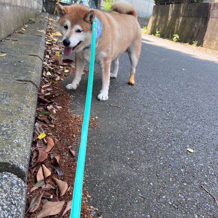 2e267160 8a26 47b1 bc1f ecfe78f8d8e6 1720058464379