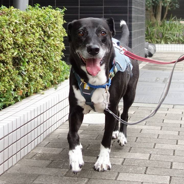 2e2691ba 718c 4477 9835 89aa3b37eb29 1726533870208