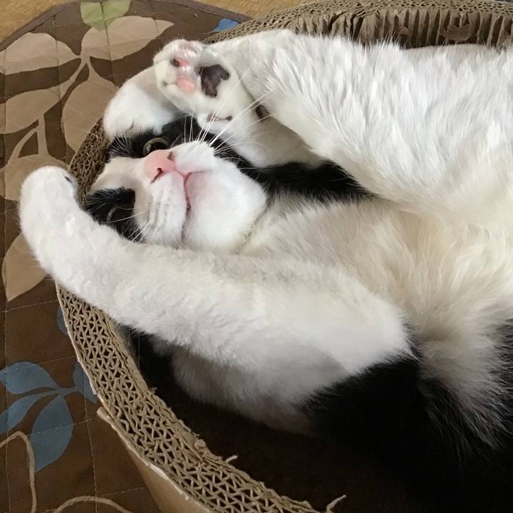 2e26b109 dc3f 44f4 81d8 52d79601a9f8 1745390752128