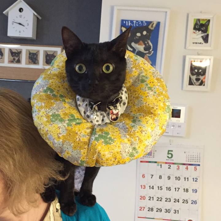 2e26e700 1a92 4ce3 ba51 a38b1d71778b 1526222891793