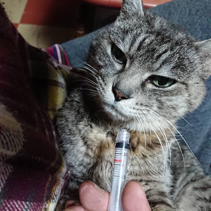 2e2756ae b0ac 40b4 b7d5 f6a00e91759b 1578865519107