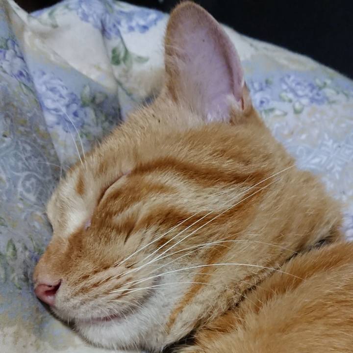 2e27748c d24d 4f75 bf3d eb67ca9e5b8e 1662813287366