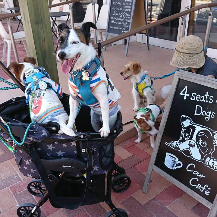 2e27be70 9b8a 43f2 8476 f67615783a91 1598001401803