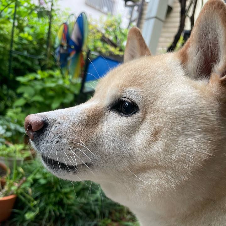 2e27c1e9 7438 4917 85f3 27535c561cce 1713738107230