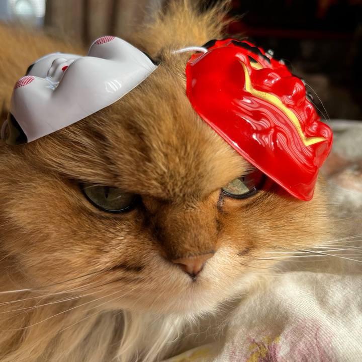 2e27f096 5c4f 4e0e 81b5 80d80947c2b1 1706951559615