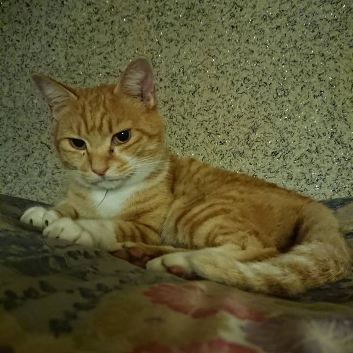 2e28013e be67 4c36 aaac f7cca7062cb3 1602421136063