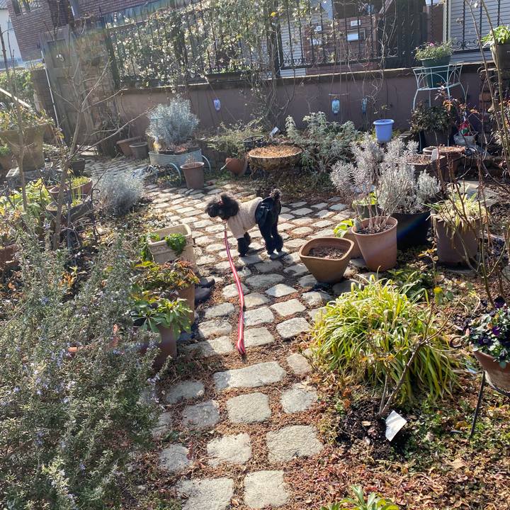 2e280af2 4f29 4b58 a612 408288691adc 1644892575283