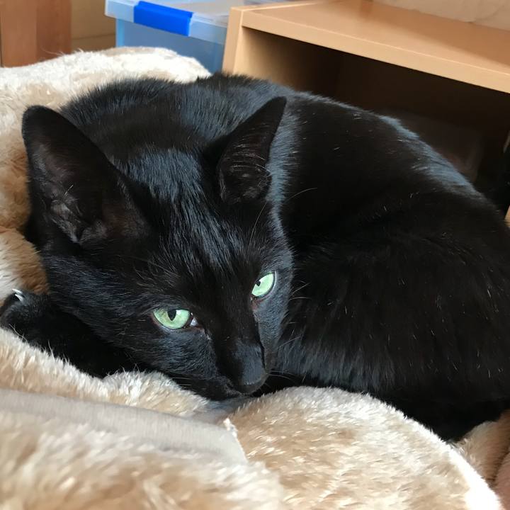 2e2879fd 6698 493b 9eab 84bd36003ee3 1522201307161