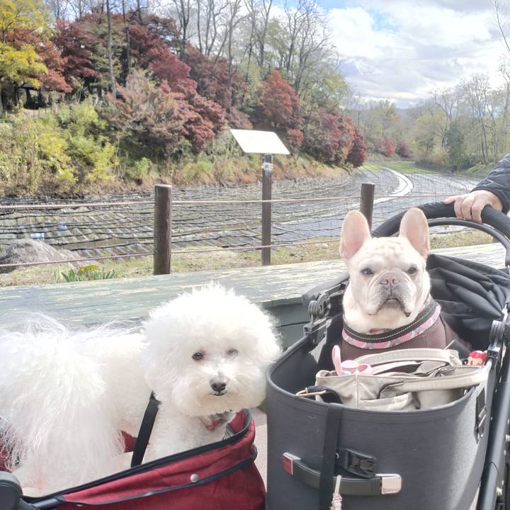 2e2881c1 cd27 43f5 9a04 b2fe13402ba1 1763080737107