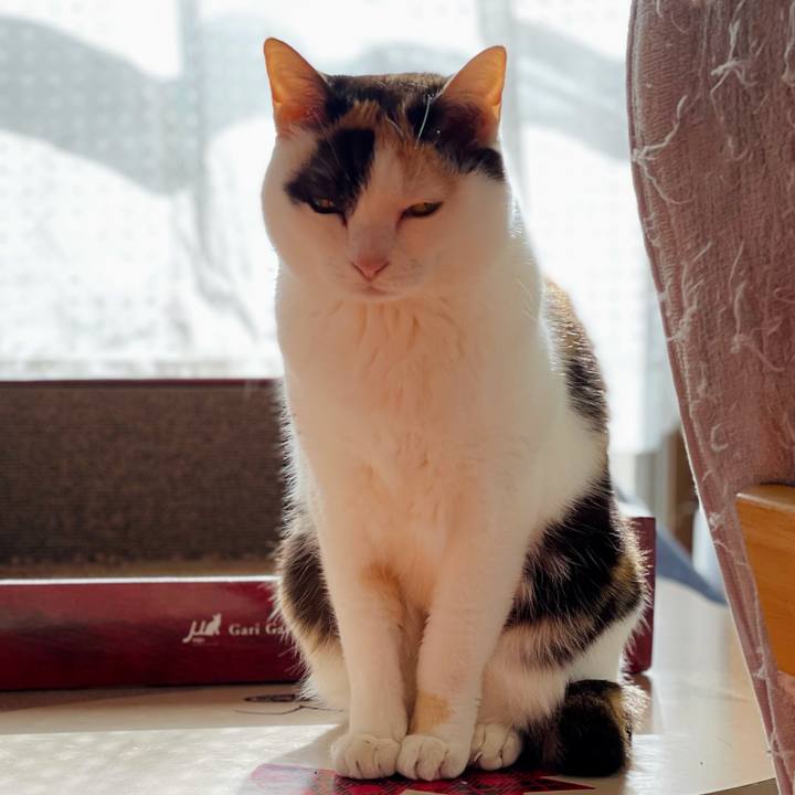 2e28988b 96f1 4c80 8b14 a9f0cf50274a 1620530540645