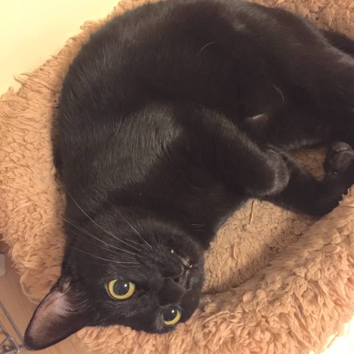 2e28a5bc b496 4a6f b699 0bffd9fe6a0a 1510661880124