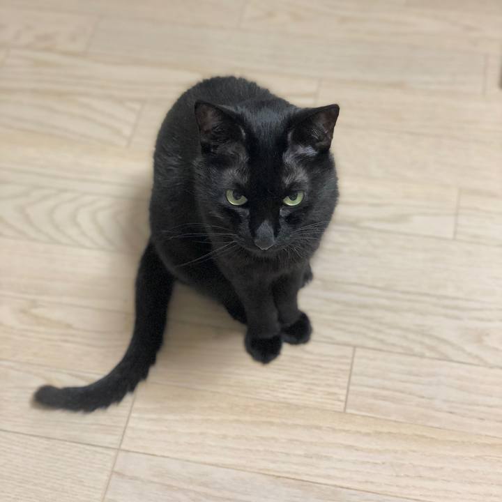 2e28c224 04ce 4da2 9c23 c74680481202 1621428094476