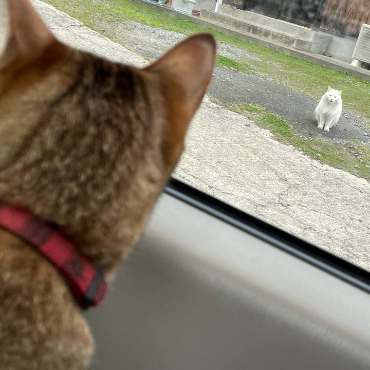 2e293244 c94f 449c 80d8 8211f9d476ab 1682326867900