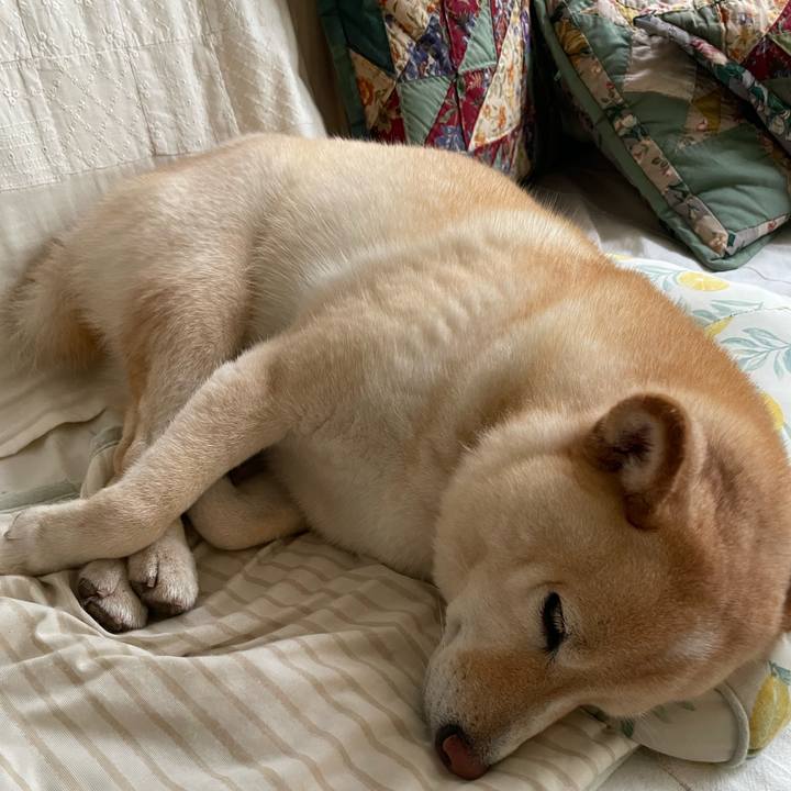 2e293253 8b52 47e9 ac80 08685d0984ce 1720411365389