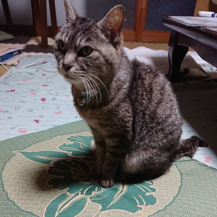 2e294719 69b5 466a b587 5d246cd86d09 1552555667676